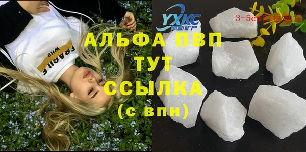 шишки Елабуга