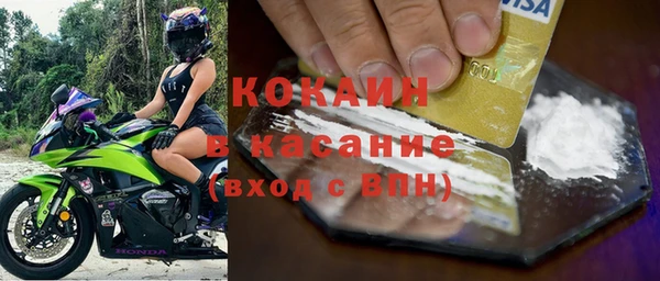 мескалин Ельня