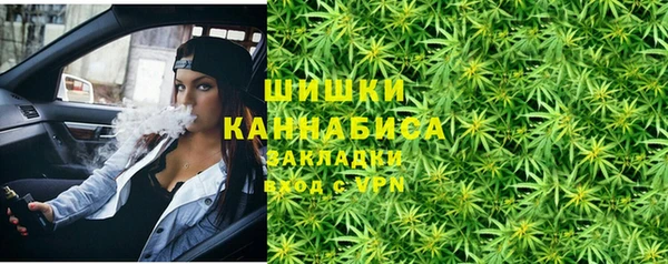 мескалин Ельня
