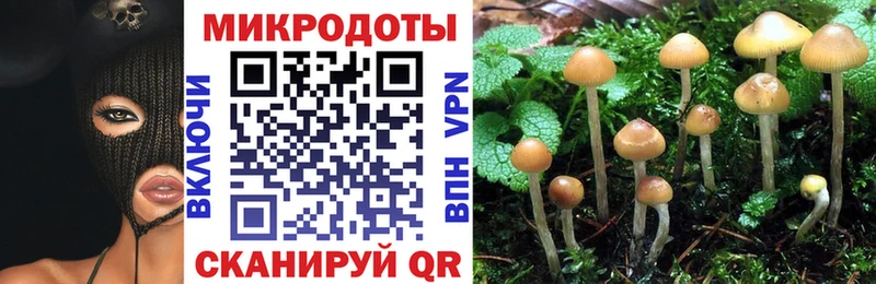 Псилоцибиновые грибы мухоморы  это наркотические препараты  Калачинск 